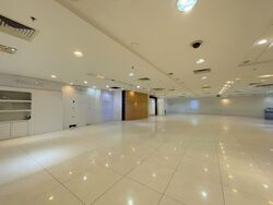 Orchard Emerald Centre (D9), Shop House #459037531